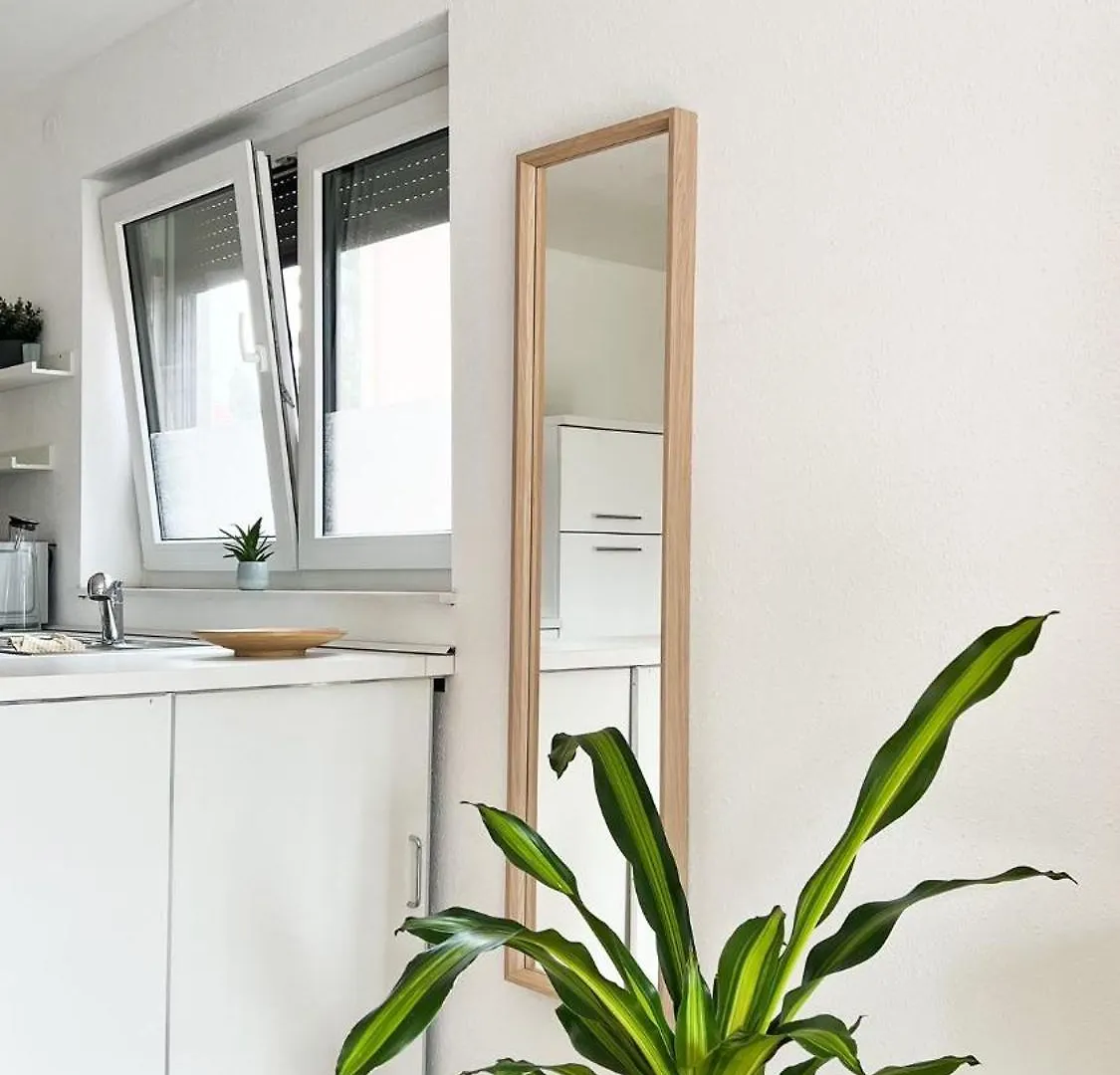 2 Zkb Apartment In Mannheim Kueche - Parken - Grosser Tv Germany